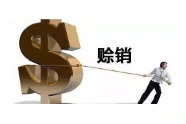 滨州债务清欠服务